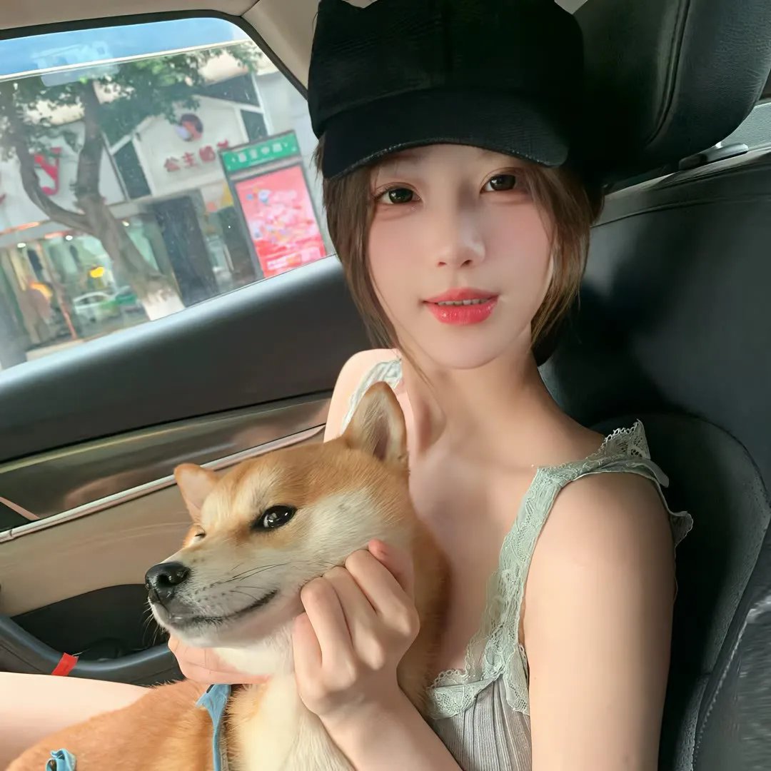 盗影谜情