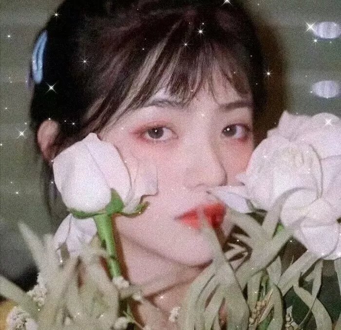 铁蹄慈泪